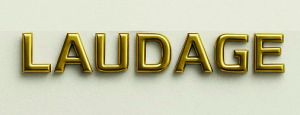 WMLaudage